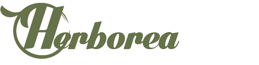 Herborea